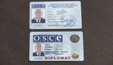обсе подделка документы