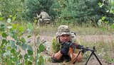 вишкіл