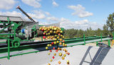 яблоки,fruit,t.b.,сок