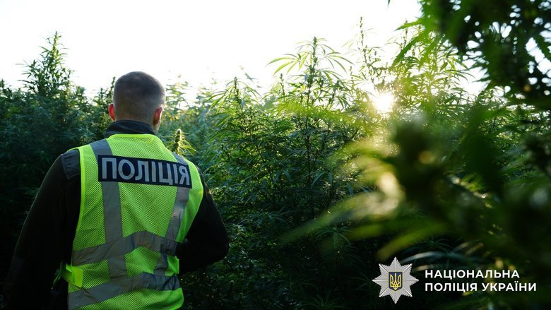 Тонна канабісу та вилучені майна на 350 млн грн: підсумки спецоперації