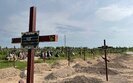 буча,могили