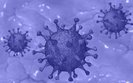 Ukraine reports 9,524 new COVID-19 cases