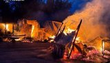 Притулок для тварин горів на Київщині: загинули собаки, знищено частину вольєрів. ФОТОрепортаж