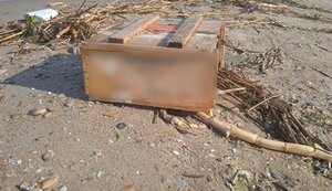 В Одесской области пограничники фиксируют последствия российского экоцида: море превращается в свалку и кладбище животных. ФОТО