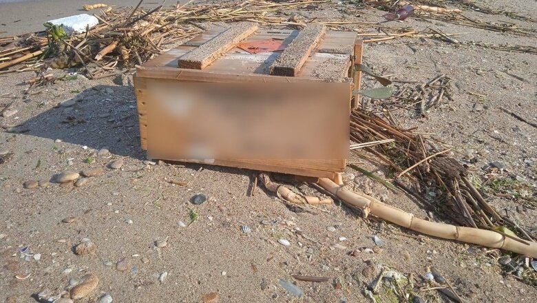 В Одесской области пограничники фиксируют последствия российского экоцида: море превращается в свалку и кладбище животных 01