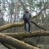 николай троценко