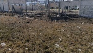 Occupiers strike farm in Mykolaiv region, one person killed. PHOTO