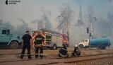 У Харкові горить ліс на Салтівці