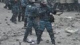 беркут berkut