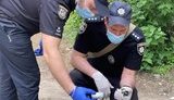 Дівчинка постраждала внаслідок вибуху сигнального патрона в Сєверодонецьку. ФОТО