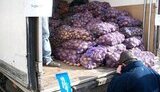 Кернес пошел по стопам Черновецкого. Только вместо гречки - картошка... ФОТОрепортаж.