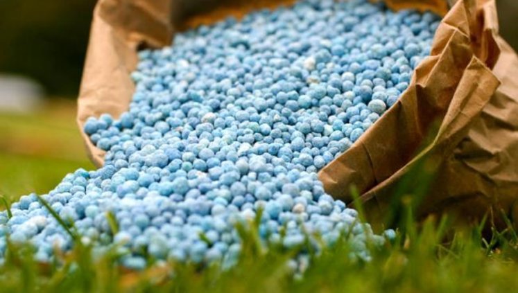 США дозволили торгувати з Росією добривами і ліками