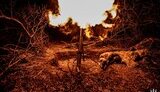 Ситуація на фронті 12 травня