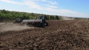 В южных областях Украины стартовала весенняя посевная, – Минагрополитики