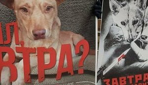 Справа догхантера Святогора: чому з посиленням законодавства суди намагаються максимально пом'якшити покарання живодерам