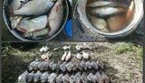 браконьеры