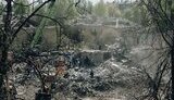 Consequences of the Russian attack on Kyiv on 24 April