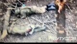 окупанти,всьо