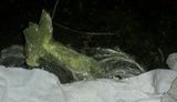 боеприпасы
