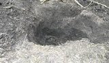 грабовский