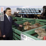 Встреча с избирателями