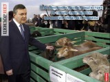 Встреча с избирателями