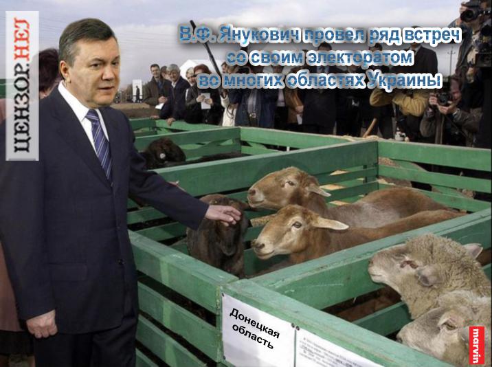 Встреча с избирателями