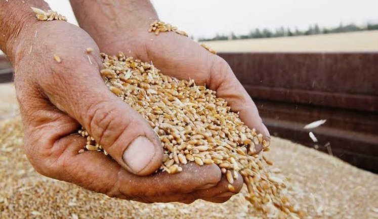 Україна звернулась до партнерів щодо компенсації за транспортування продовольства на зовнішні ринки