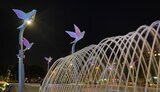саакашвили