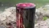 катування