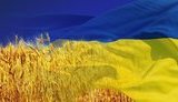 Змагання на ретро-автомобілях, забіг у вишиванках, богатирський турнір та багато іншого: Київ затвердив план заходів до Дня Незалежності