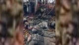 полонені