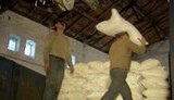 Украину ожидает дефицит натурального сахара: ныне каждый 4-й кг - химикаты. + ВИДЕО.