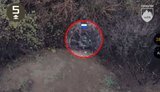 Оператори дронів 425 полку Скеля знищили дев’ять окупантів біля Покровська на Донеччині