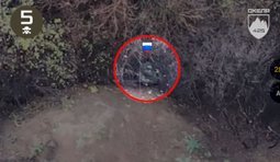 Операторы дронов 425 полка Скала уничтожили девять оккупантов возле Покровска в Донецкой области