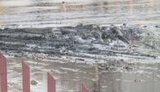 Луганск затопило фекалиями. Машины и люди в них "плавают". ФОТО