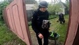 Сумська область - Григоров розповів про ситуацію за добу