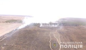 Поліція встановила зловмисника, з вини якого вигоріли 5 гектарів лісництва в Чорнобильській зоні