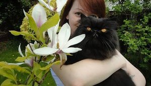 Домашние животные Скрипаля, судьбой которых интересовалась Россия, не выжили