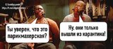 В парикмахерской