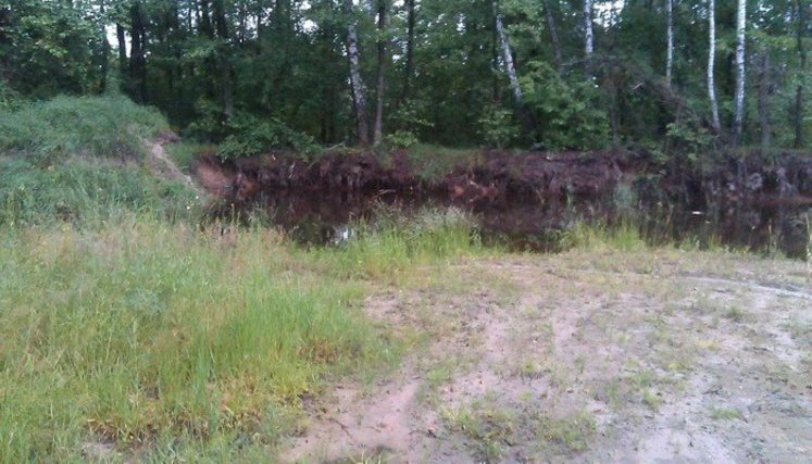 Музею у Пироговому, в Києві, повернули 102 га земель, раніше переданих під забудову, - ГПУ