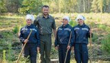лес,болоховец