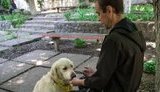 "Якщо ветерану наснилося жахіття, пес може сам увімкнути світло". Як собаки рятують тих, хто повернувся з війни