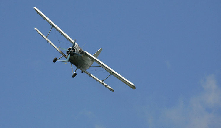 Літак Ан-2 розбився на авіашоу в Підмосков'ї, є загиблі. ВІДЕО