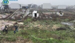 4 млн кур погибли во время оккупации на крупнейшей птицефабрике в Чернобаевке. ФОТО