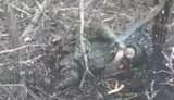 самогубство окупанта на полі бою