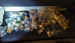 У поїзді "Київ-Москва" виявлено 22 українські закордонні паспорти, прикраси та монети, - Держприкордонслужба. ФОТОрепортаж
