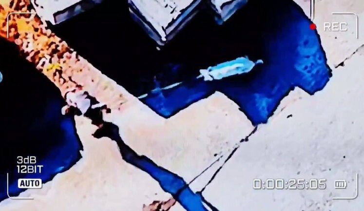 Occupiers train pilots by dropping grenade on civilian walking his dog in Kherson region. VIDEO