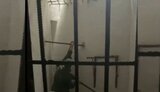 рф,армія