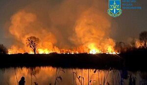 Чому палала земля, поряд із незаконною Stolitsa Group Владислави Молчанової?